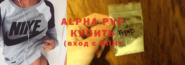 сатива Белокуриха