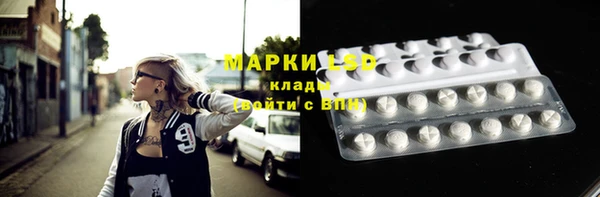 сатива Белокуриха