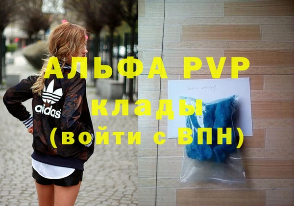 сатива Белокуриха
