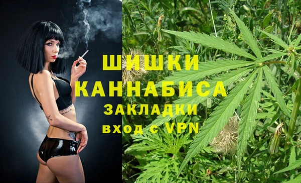 сатива Белокуриха