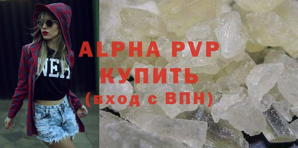 сатива Белокуриха