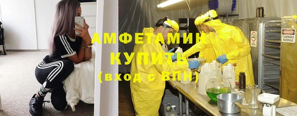 сатива Белокуриха