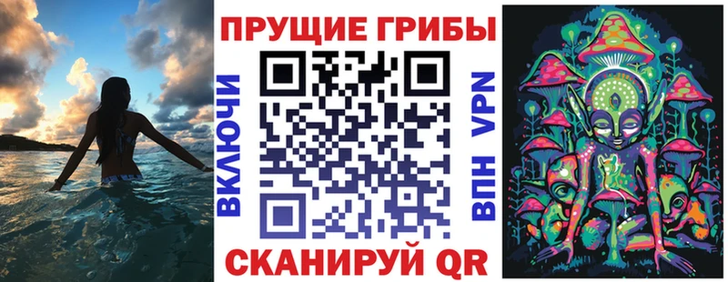 наркотики Верхний Тагил Галлюциногенные грибы GOLDEN TEACHER